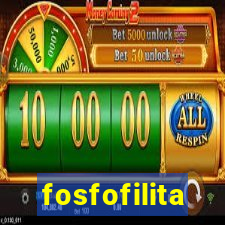 fosfofilita