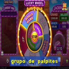 grupo de palpites de futebol whatsapp