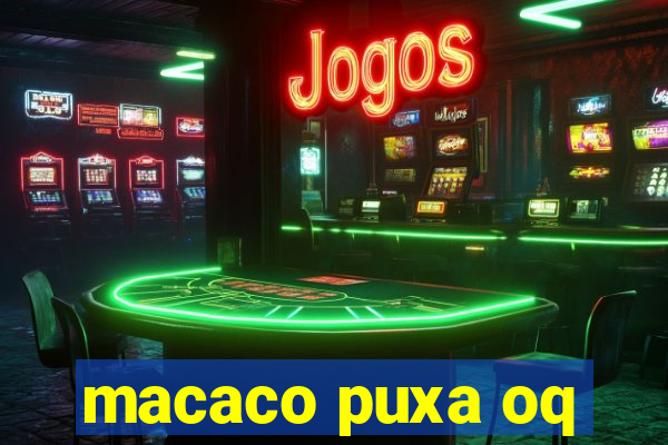 macaco puxa oq