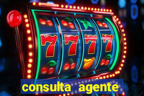 consulta agente autuador sp