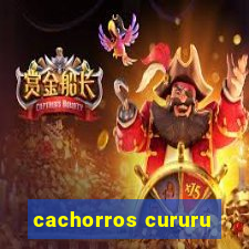 cachorros cururu