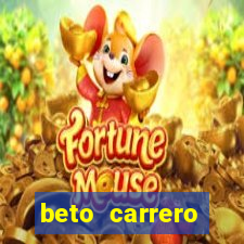 beto carrero cidades proximas