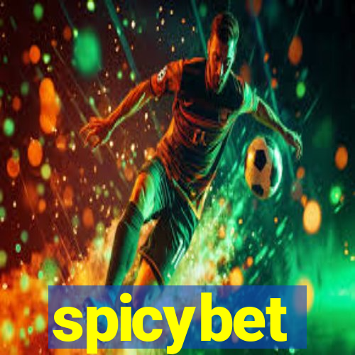 spicybet-4.com